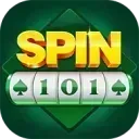 Spin 101